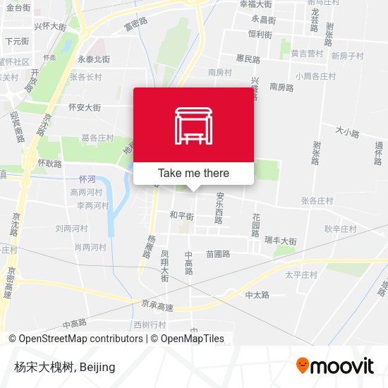 杨宋大槐树 map