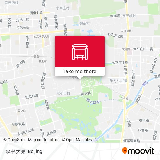 森林大第 map