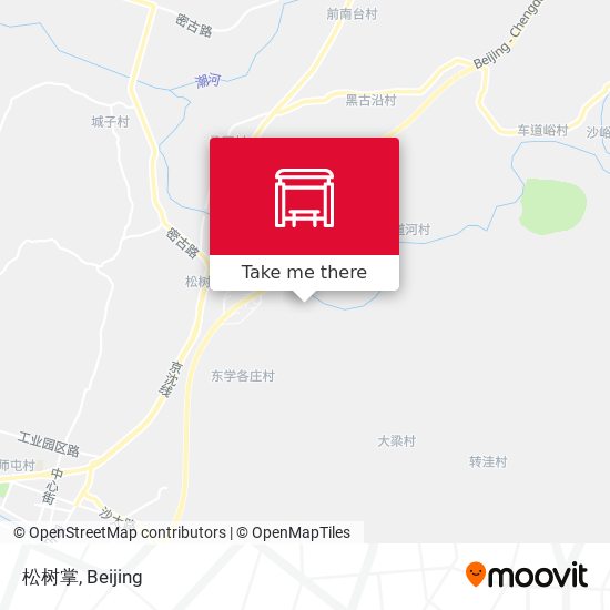 松树掌 map