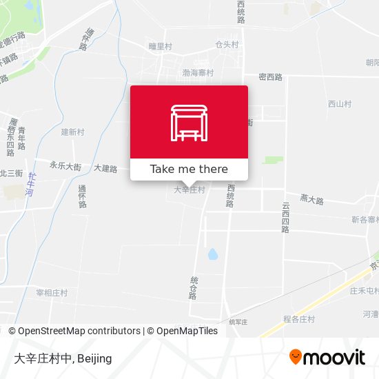 大辛庄村中 map