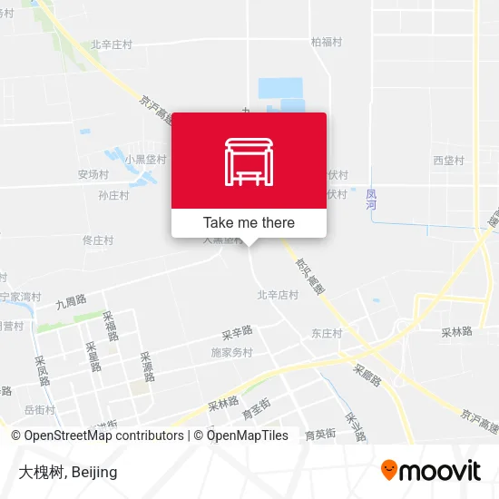 大槐树 map