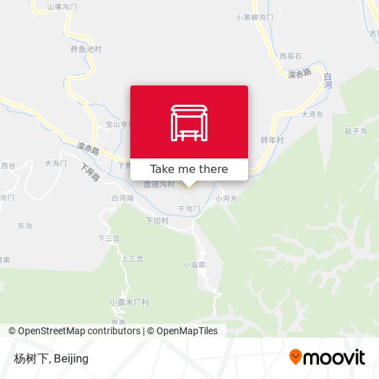 杨树下 map