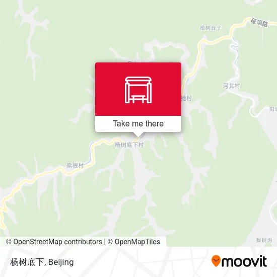 杨树底下 map