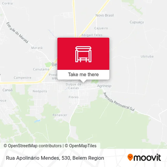 Rua Apolinário Mendes, 530 map