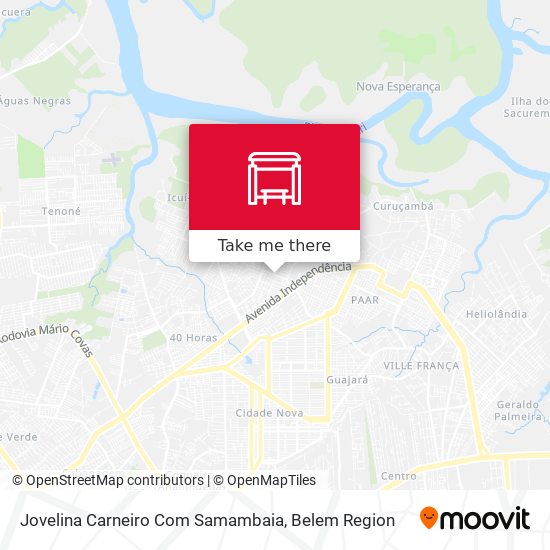 Jovelina Carneiro Com Samambaia map