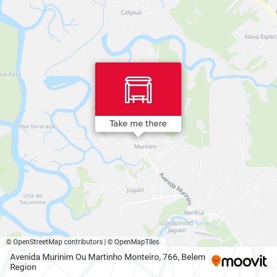 Avenida Murinim Ou Martinho Monteiro, 766 map