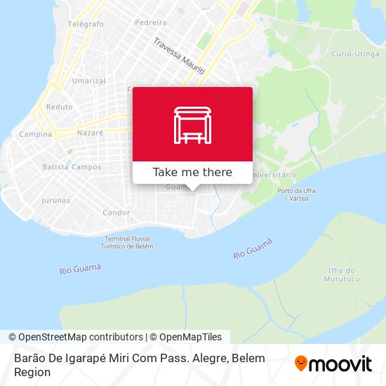 Barão De Igarapé Miri Com Pass. Alegre map
