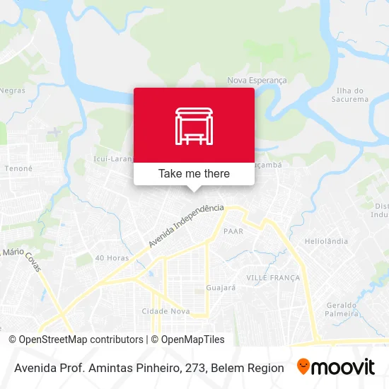 Avenida Prof. Amintas Pinheiro, 273 map