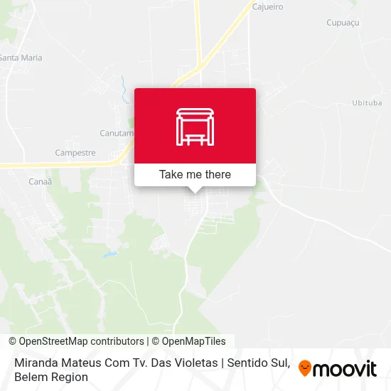 Miranda Mateus Com Tv. Das Violetas | Sentido Sul map