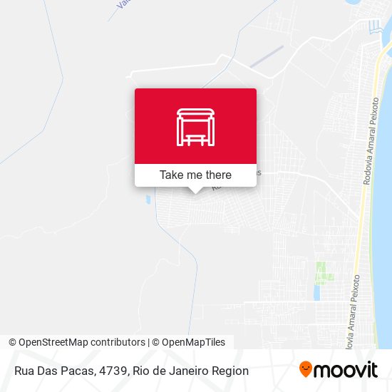 Rua Das Pacas, 4739 map
