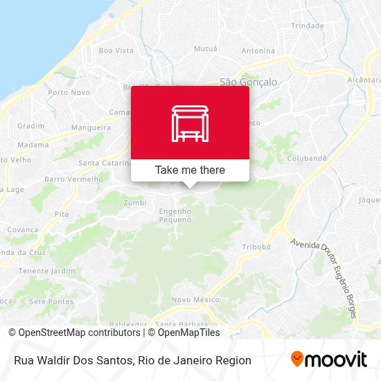 Rua Waldir Dos Santos map