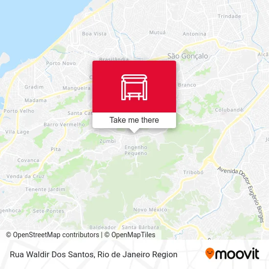 Rua Waldir Dos Santos map