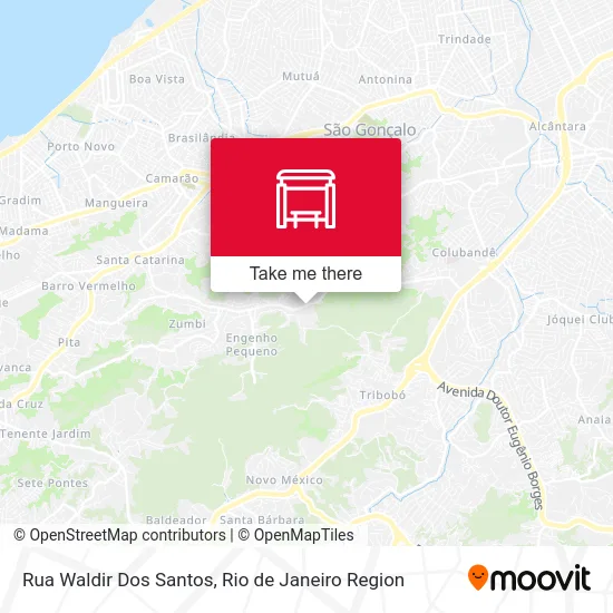 Rua Waldir Dos Santos map