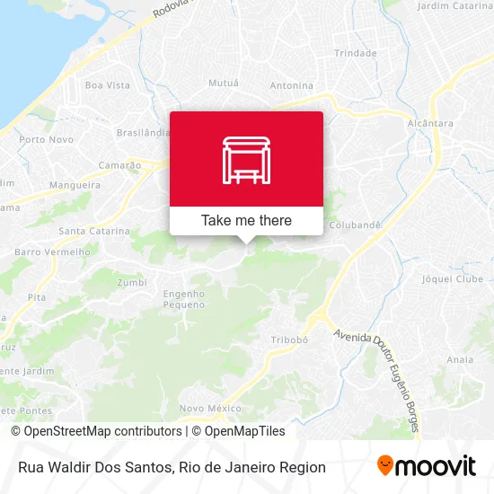 Rua Waldir Dos Santos map