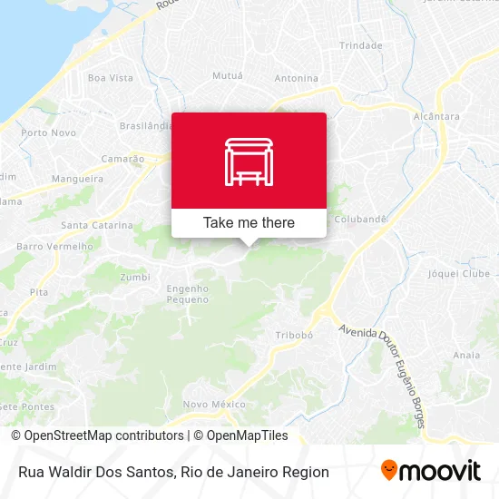 Rua Waldir Dos Santos map