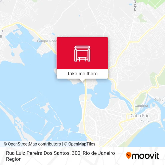 Rua Luiz Pereira Dos Santos, 300 map