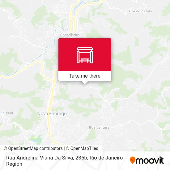Rua Andrelina Viana Da Silva, 235b map