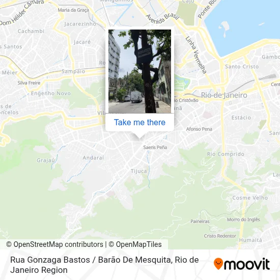 Rua Gonzaga Bastos / Barão De Mesquita map
