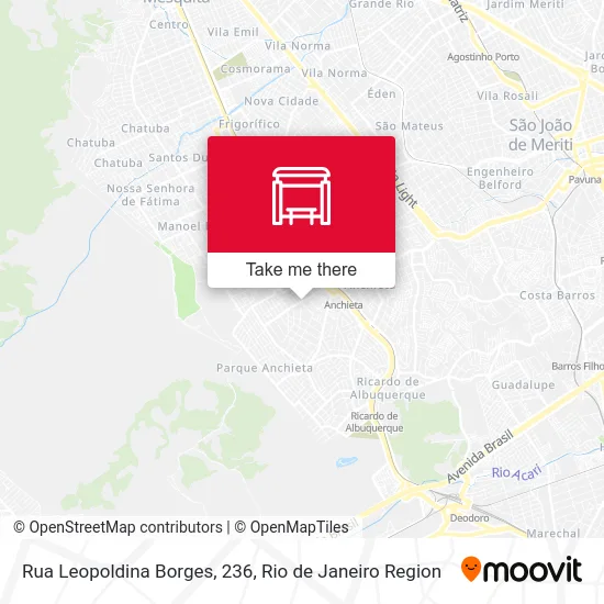 Rua Leopoldina Borges, 236 map