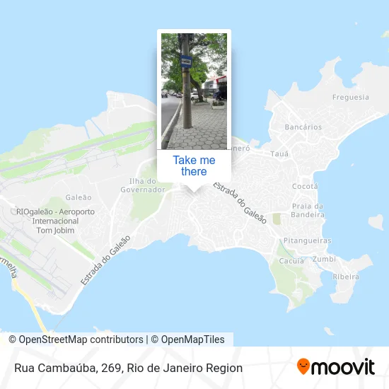 Rua Cambaúba, 269 map