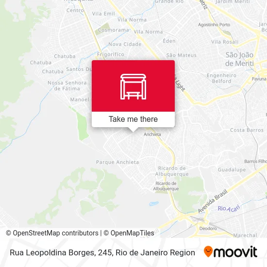 Rua Leopoldina Borges, 245 map