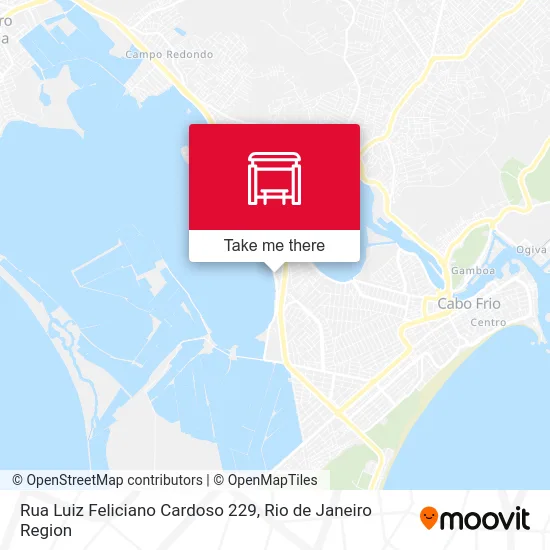 Rua Luiz Feliciano Cardoso 229 map