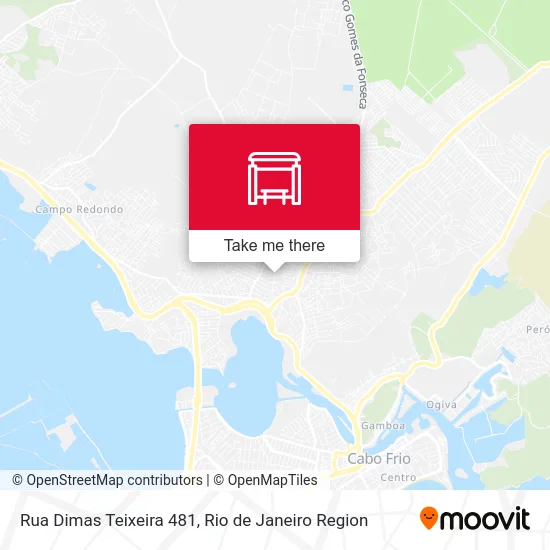 Rua Dimas Teixeira 481 map