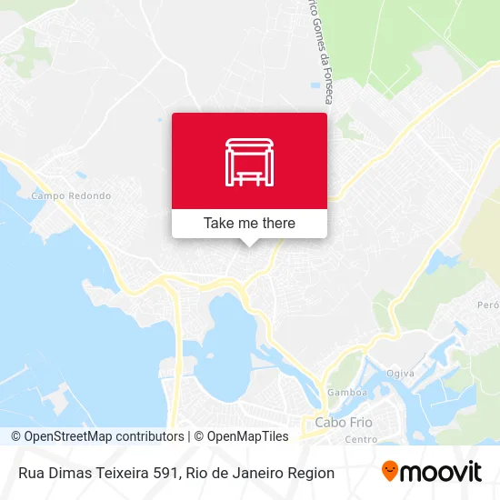 Rua Dimas Teixeira 591 map