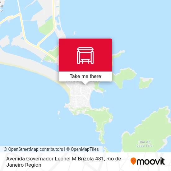 Avenida Governador Leonel M Brizola 481 map