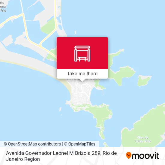 Avenida Governador Leonel M Brizola 289 map