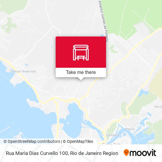 Rua Maria Dias Curvello 100 map