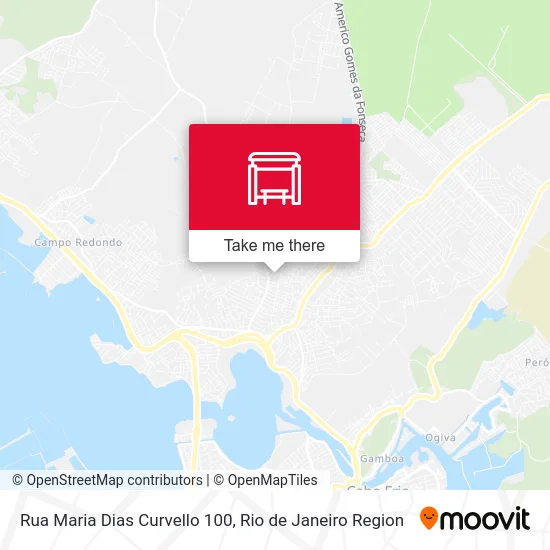 Rua Maria Dias Curvello 100 map