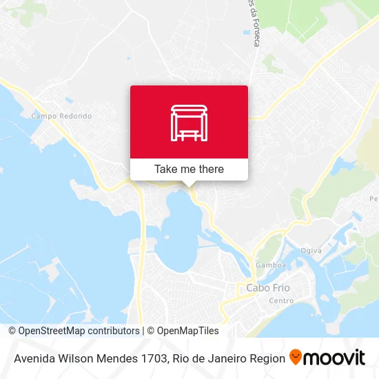 Avenida Wilson Mendes 1703 map