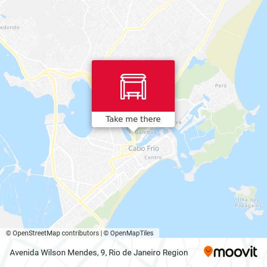 Avenida Wilson Mendes, 9 map
