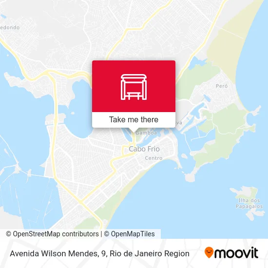 Avenida Wilson Mendes, 9 map