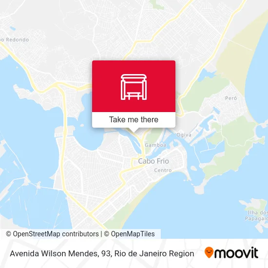 Avenida Wilson Mendes, 93 map
