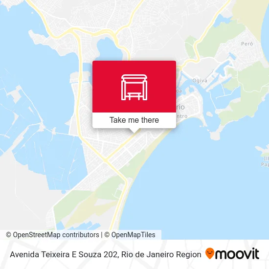 Avenida Teixeira E Souza 202 map
