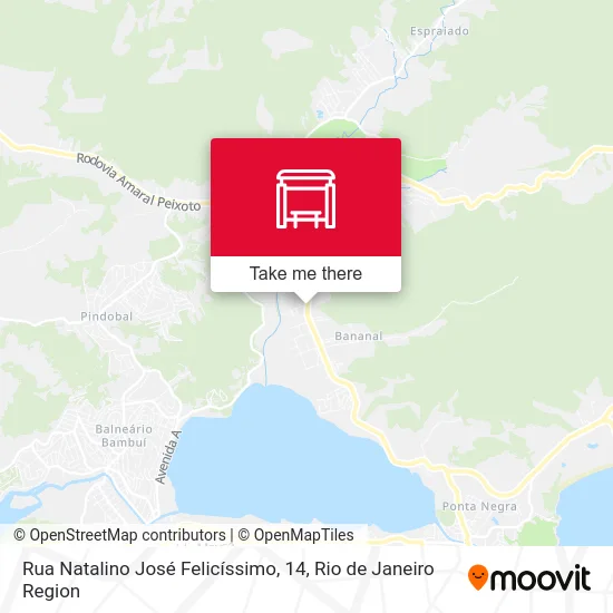 Rua Natalino José Felicíssimo, 14 map