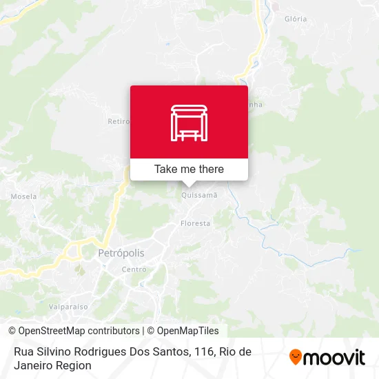 Rua Silvino Rodrigues Dos Santos, 116 map