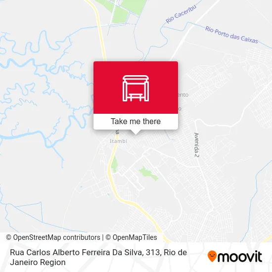 Rua Carlos Alberto Ferreira Da Silva, 313 map