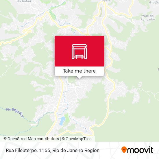 Rua Fileuterpe, 1165 map