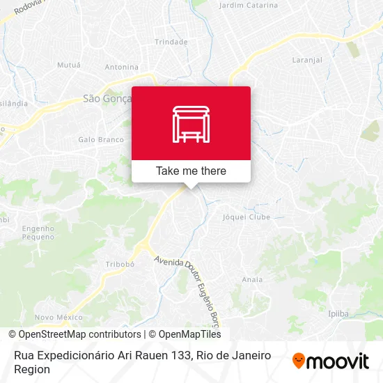 Rua Expedicionário Ari Rauen 133 map