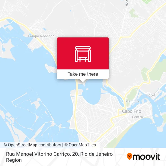 Rua Manoel Vitorino Carriço, 20 map