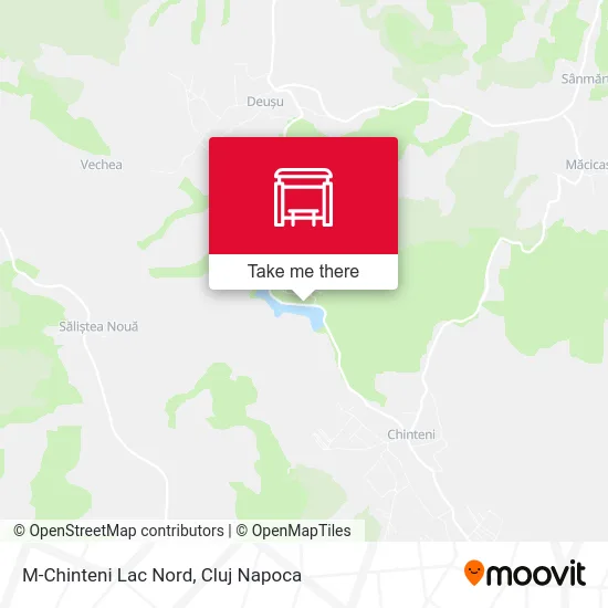 M-Chinteni Lac Nord map