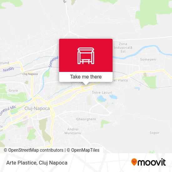 Arte Plastice map
