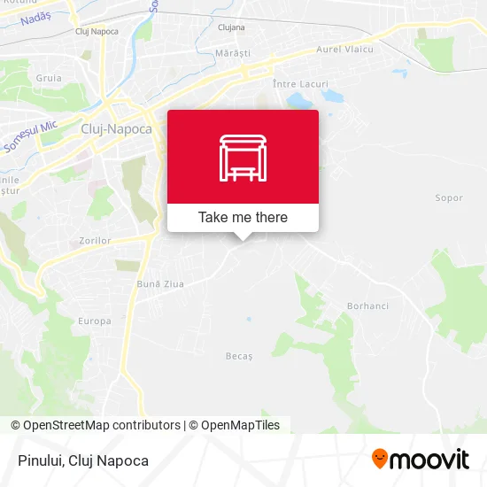 Pinului map