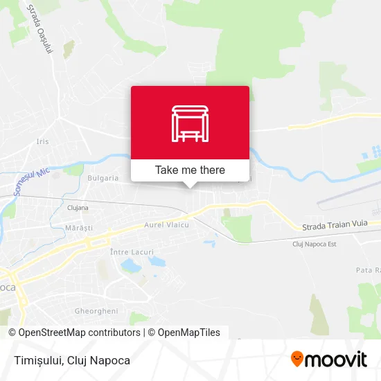 Timișului map