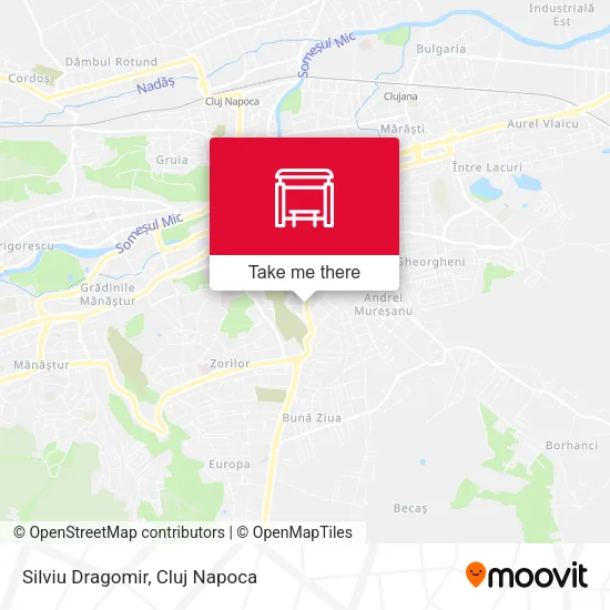 Silviu Dragomir map