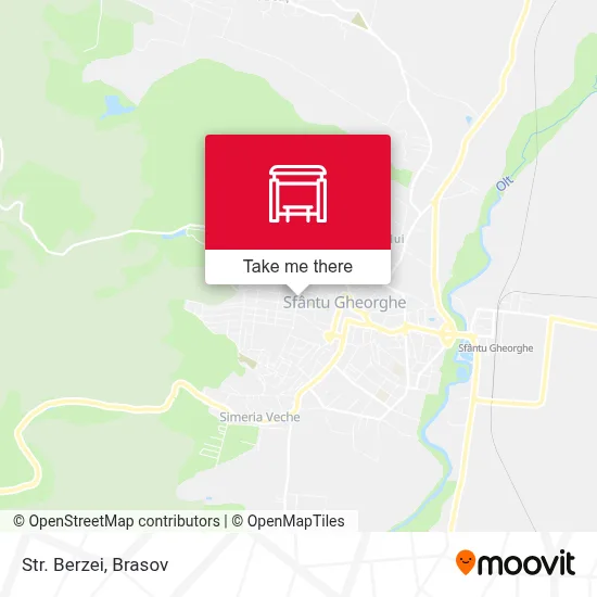Str. Berzei map