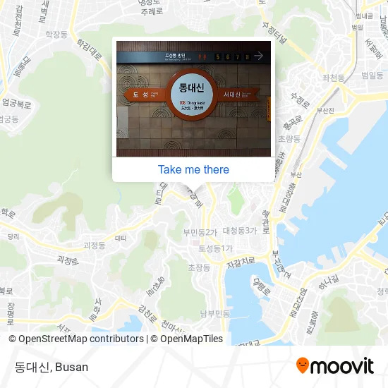 동대신 map